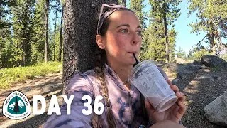 Thumbnail: Day 36 | Completely Derailed | SOBO Pacific Crest Trail 2026