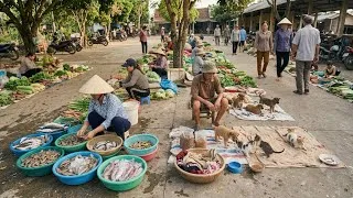 Thumbnail: Hidden Vietnam Seafood Market | Fresh Seafood and Authentic Coastal Rural Life 🇻🇳