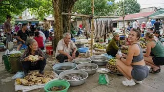 Thumbnail: Hidden Vietnam Market | Foreign Visitors Discover Fresh Produce & Wild Forest Foods