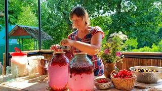 Thumbnail: 53-Year-Old Mom 🍓 Seals Homemade Berry Compote for Winter ❄️ | Village Life in Ukraine 🌿