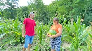 Thumbnail: 53-Year-Old Mom & Son's Village Week 🌿: Berry Harvest 🍓, Cherry Jam 🍒 & Building the Family Gazebo 🔨