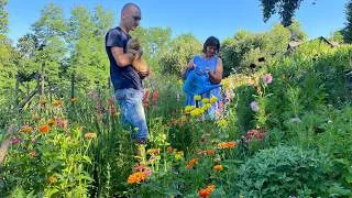 Thumbnail: One Month of Real Ukrainian Village Life 🇺🇦 Homemade Food, Mushroom Foraging & Summer Harvest 🌾🍄