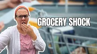 Thumbnail: How did that HAPPEN???  Grocery Haul & monthly totals