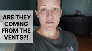 Thumbnail: This Brown Recluse Situation Got Even Worse // Mommy Etc