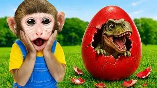 Thumbnail: Monkey Momo take a shower with baby monkey and play with dinosaur egg