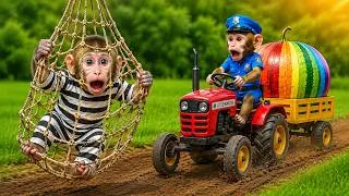 Thumbnail: Police Monkey Momo Catch A sneaky Thief in The Farm Driving A Tractor | Momo Monkey Life