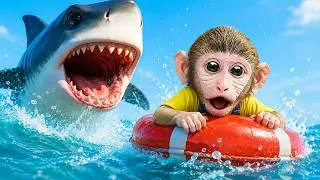 Thumbnail: Monkey Momo Become Superhero Rescue Baby Monkey From Great Shark | Momo Monkey Life