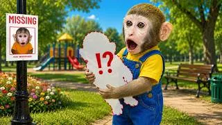 Thumbnail: Monkey Momo Going To Find Little Monkey Got Lost In The Park  Momo Monkey Life