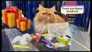 Thumbnail: Rabsa bondhu Thank you😻Gift🎁#cat #gift #funny #love #viral #trending #funny #pets #best #beautiful 
