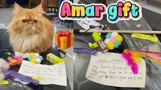 Thumbnail: Cherry’s all gift😻Happy day🎁#cat #gift #funny #love #viral #trending #pets #enjoy #petlover #letter 