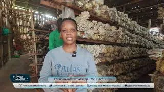 Thumbnail: Why mushroom farming is the most overlooked business in 2026