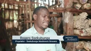 Thumbnail: The Profitable Mushroom Business Every Farmer Should Know