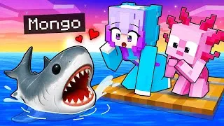 Thumbnail: I Pretended to be BABY MEGALODON SHARK on a One RAFT!