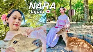 Thumbnail: Let's go to Nara Japan! 🦌🇯🇵 Nara Deer Park & Ikoma Sanjo Amusement Park