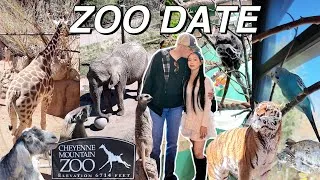 Thumbnail: THE BEST INTERACTIVE ZOO IN UNITED STATES! ( Zoo Date vlog at Cheyenne Mountain Zoo Colorado )
