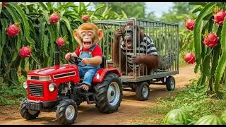 Thumbnail: Dragon Fruit Heist! Little Monkey Catches the Greedy Thief! 🐒🚜🐉