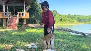 Thumbnail: Joy returned to Quynh's face when she met Monkey Kaka again.