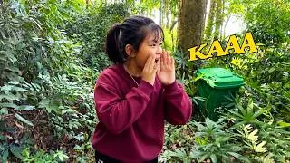 Thumbnail: Quynh’s scream echoed through the forest as she desperately tried to find Monkey Kaka.