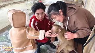 Thumbnail: Mom, Diem, and Quynh comforted, encouraged, and said goodbye to Monkey Kaka.
