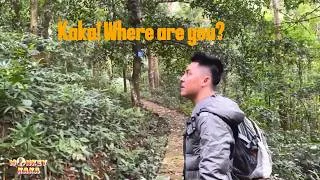 Thumbnail: Let's see how difficult the journey to find Monkey Kaka was.