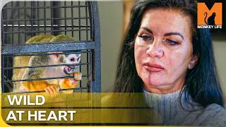 Thumbnail: From Black Market Victims to Sanctuary Families | Monkey Life