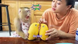 Thumbnail: LYLY cherishes the "adorable" fruit gifted by the neighbor, so she can't bring herself to eat it.