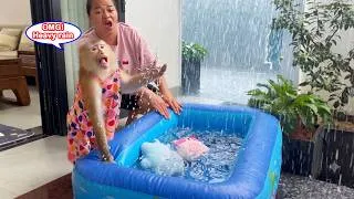Thumbnail: What is going on? LYLY hurriedly welcomed the rain, but what happened was beyond her expectations.