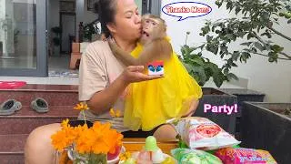 Thumbnail: LYLY the monkey was touched by the surprise outdoor party her mother organized for her
