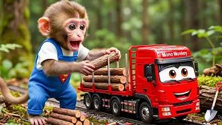 Thumbnail: Little Monkey Has a Tree-Cutting Accident and Creates a Mysterious Gift to Rescue Team|MonkeyCartoon