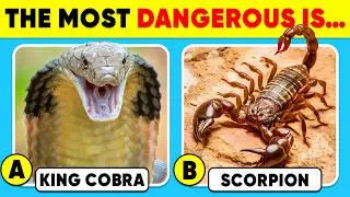Thumbnail: How Good Is Your Knowledge of ANIMALS? 🧠🐍 Animal Quiz Challenge 2026 ✅🐵 Monkey Quiz