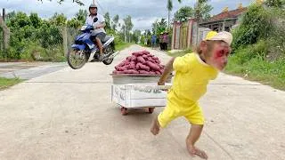 Thumbnail: Whole Village Not Believe Until Saw Su Monkey Peddling Sweet Potatoes From A Rickshaw