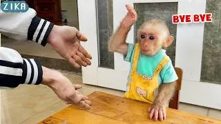Thumbnail: The Zika family will stop posting videos on this YouTube channel!