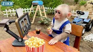 Thumbnail: WOW!!! Obediently monkey Zika  helps dad prepare a home theater