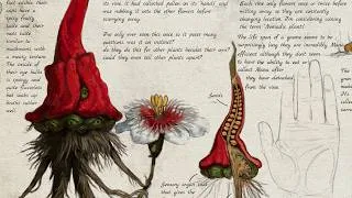 Thumbnail: We redesigned Gnomes