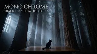 Thumbnail: Lost in the Night | Melodic Club House Mix 🌲 MONO.CHROME Track 032