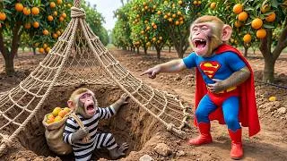 Thumbnail: Monkey Mono Drives Tractor to Catch Orange Thief 🍊🚜 | Smart Farm Rescue & Honesty Lesson