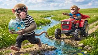 Thumbnail: 😱 Baby Monkey Mono Drives Excavator, Breaks Fish Tank & Catches the Fish Thief! 🐒🚜