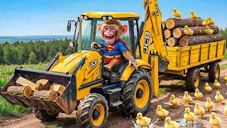 Thumbnail: 🐒❤️ Mono the Monkey Builds a Home for Chicks Using a JCB Bike – A Touching Ending for Everyone