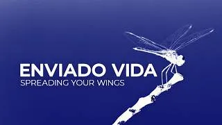 Thumbnail: Enviado Vida - Spreading Your Wings [Melodic House | Silk]