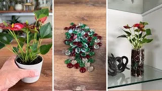 Thumbnail: How to create self-watering vase for tiny plant | Best of MonstroFarm