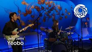 Thumbnail: Jelly Jams featuring Yeobo