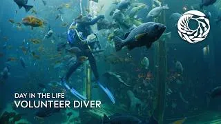 Thumbnail: DITL of a volunteer diver at Monterey Bay Aquarium