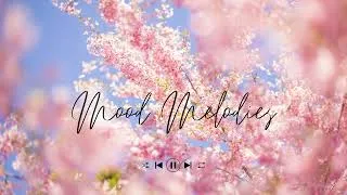 Thumbnail: Spring Light — Music for Study, Work, Vlogs & Spring Walks