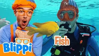 Thumbnail: Blippi Goes Scuba Diving! 🤿🌊 Underwater Adventure for Kids! ✨ | Toddler Healthy Habits