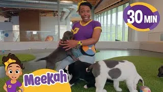 Thumbnail: 🐶Meekah's Fun Furry Friend Day!🦴🐕‍🦺🐩| Meekah | Moonbug Kids- Fantasy Cartoons- Imagination Play