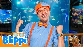 Thumbnail: Blippi Finds a Giant Octopus and the Mother Pearl!  | Blippi | Science and Nature Cartoons For Kids