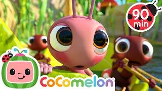 Thumbnail: The Search for the Mysterious Candy Cove! 🍬🗺️ | Cocomelon | Life at Sea | Kids Learning