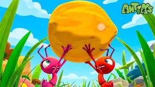 Thumbnail: Tough Nut To Crack | Antiks 🐜 | Action Cartoons For Kids