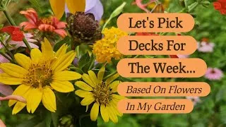Thumbnail: Let's Pick My Decks For The Week... Based On Blooms In My Garden 🌸✨️