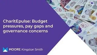 Thumbnail: CharitEpulse: Budget pressures, pay gaps, and governance concerns